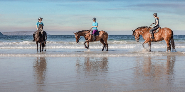 Ruta a caballo por la playa, ¡disfruta en familia!