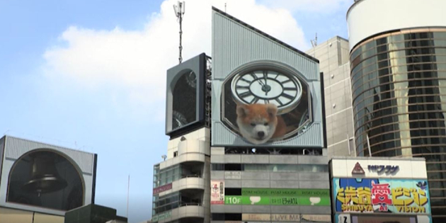 Perro gigante suelto en Tokio